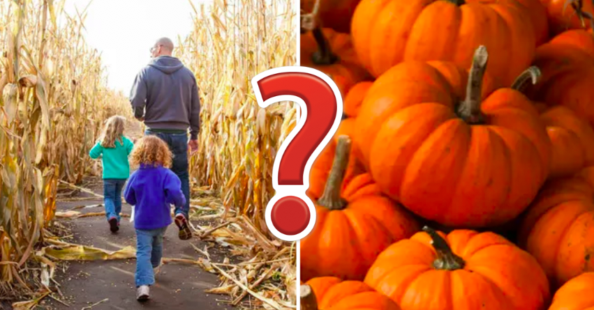 Plan The Perfect Fall Day And We’ll Tell You How Old You Are