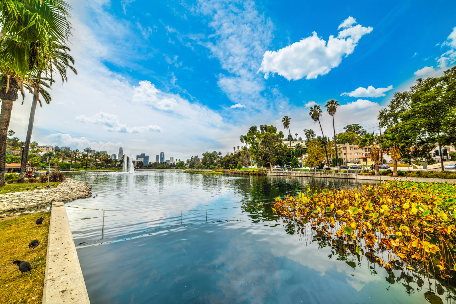 Things to Do at Echo Park Lake - Love & Loathing Los Angeles