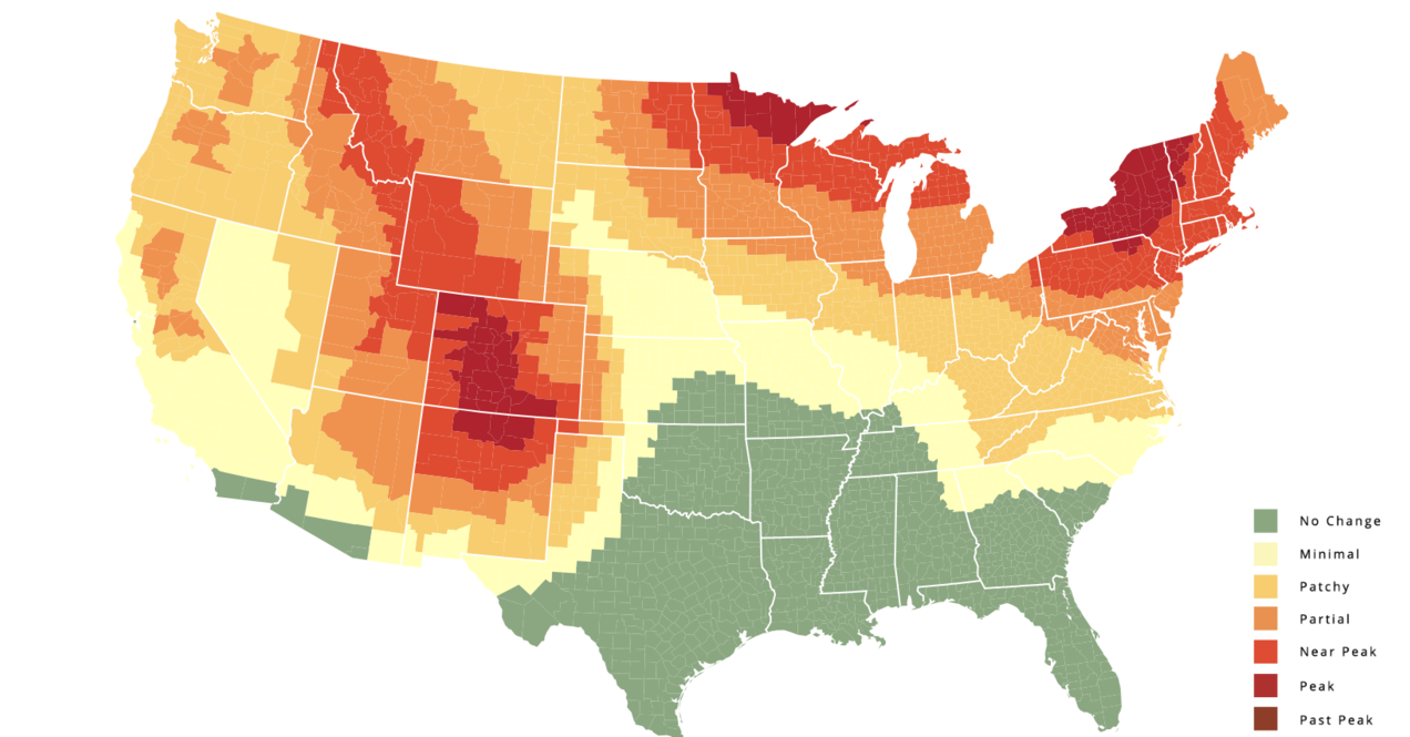 Leaf Peeping Is The Best Fall Activity, And Here's When You Should Go