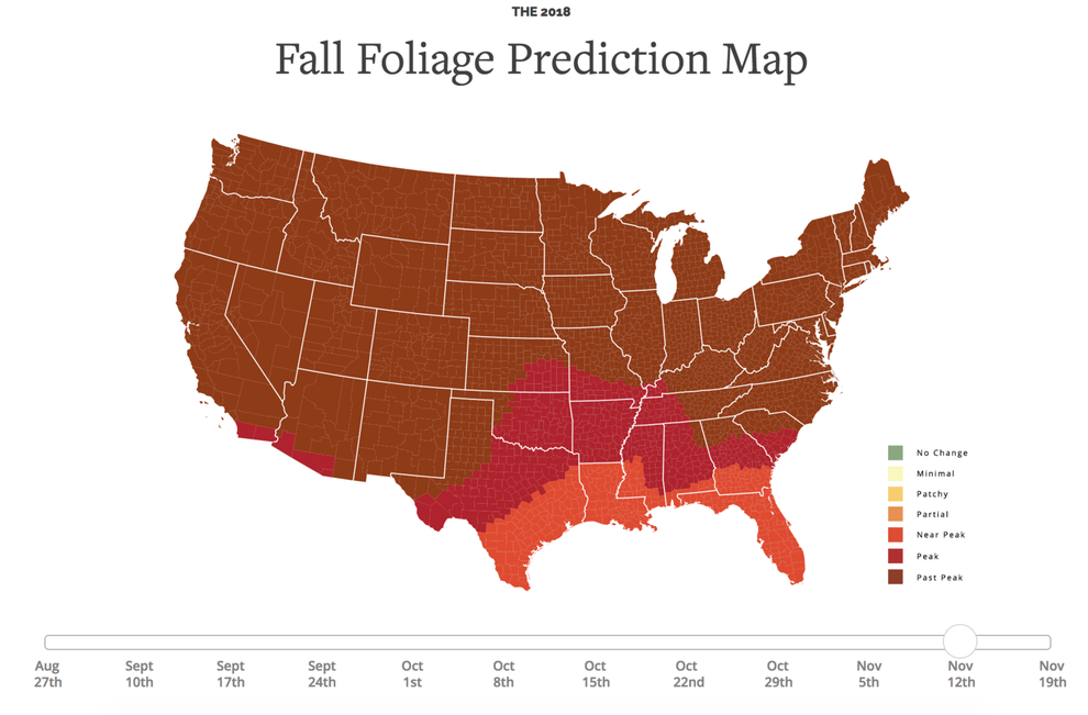 Leaf Peeping Is The Best Fall Activity, And Here's When You Should Go