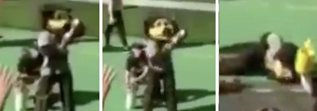 Colorado mascot shoots themselves with T-shirt gun, carted off