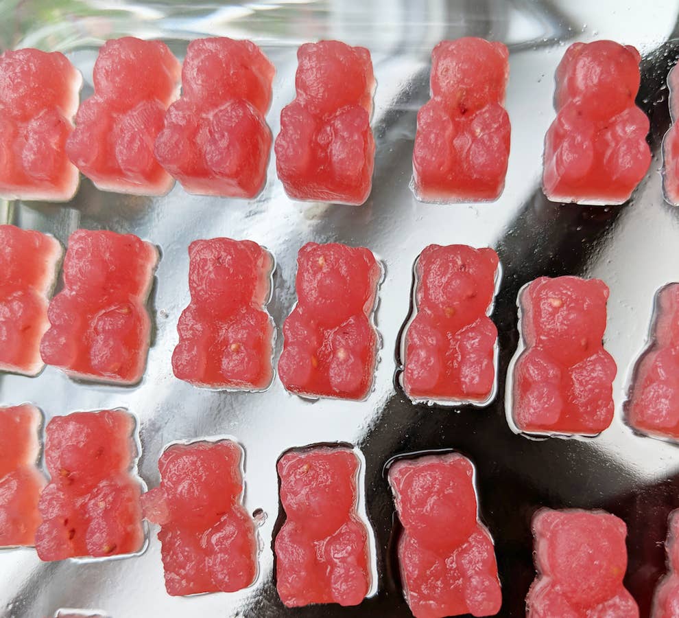 人生に嫌気がさして 大量のグミベア をつくった話
