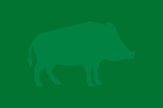 激ムズ 色彩能力者 にしか見えない絵に隠れた動物 激ムズ 色彩能力者 にしか見えない絵に隠れた動物
