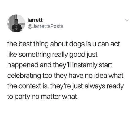 tweet about dogs always being ready to party no matter the context