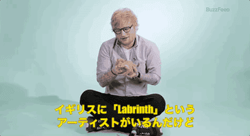 エド シーランにインタビュー ただし ネコといっしょ