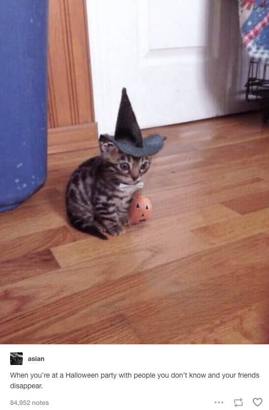 23 Halloween Tumblr Posts To Tide You Over Until October 31st