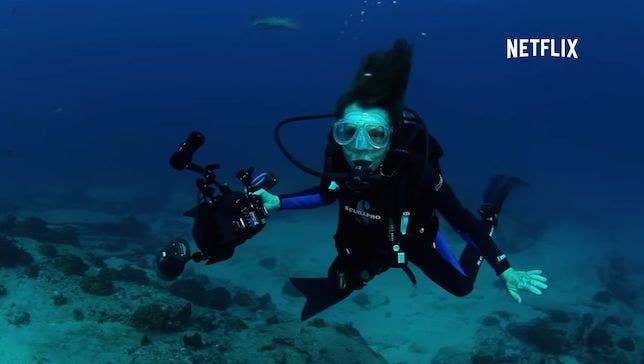 La oceanógrafa Sylvia Earle es la primera mujer en ser científica jefe de la Administración Nacional Oceánica y Atmosférica de Estados Unidos, pero además, tiene una misión en la vida: salvar los océanos de grandes amenazas como los residuos tóxicos o la pesca excesiva. En este premiado documental de 2014, conocemos a la mujer que puso el océano patas arriba cuando el océano era un mundo dominado por señores.