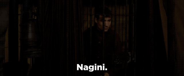 According to Pottermore, a Maledictus is a woman who has "a blood curse that makes her transform into a beast", which led fans to theorise that the brand new character could in fact be Voldemort's snake — and one of his Horcruxes — Nagini. And IT LOOKS LIKE THEY WERE RIGHT.