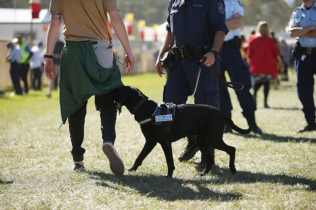 can police make you wait for drug dogs