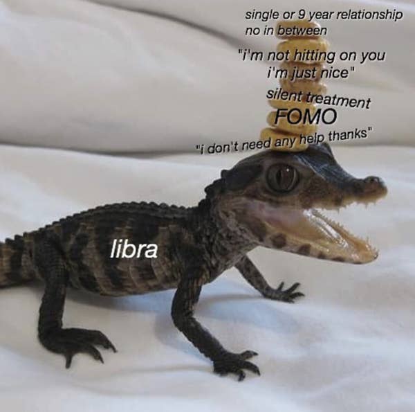 Libra memes localbh