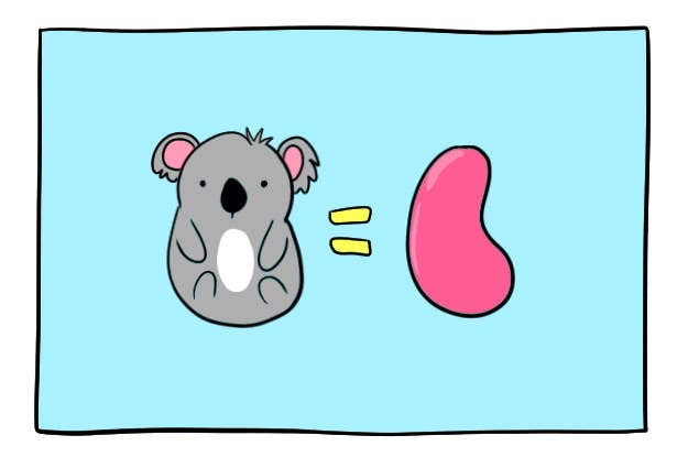 19 Adorable Animal Facts That Will Make Your Day Better