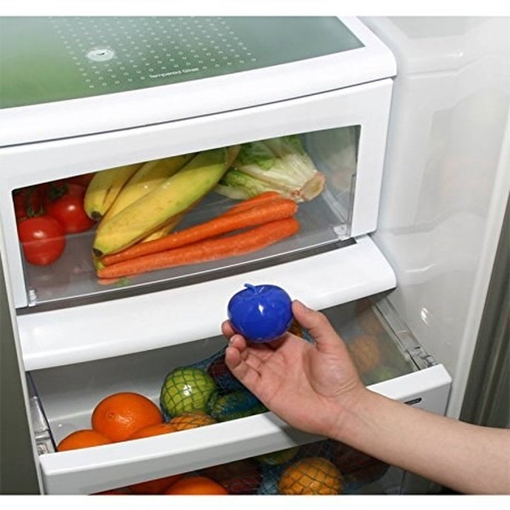 A person placing BluApple in their fridge