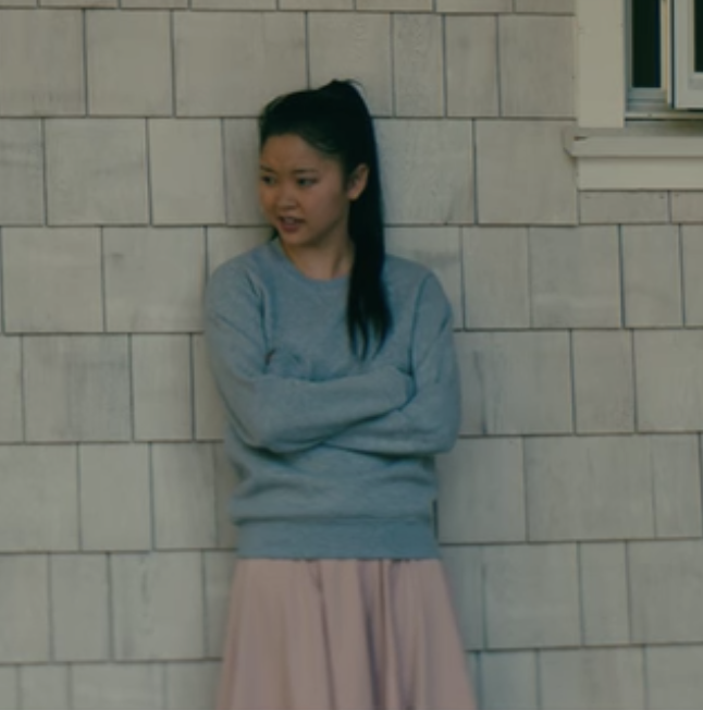 An Artist Illustrated All Of Lara Jean 