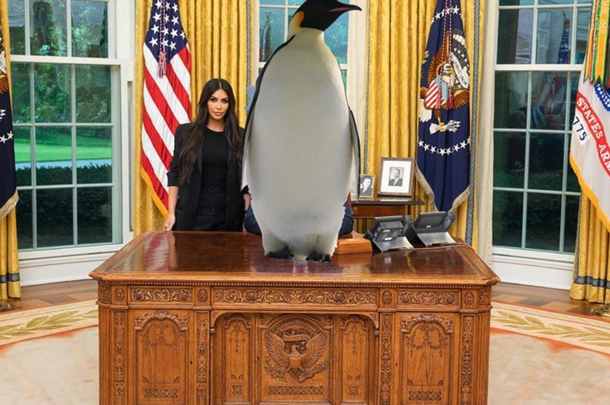 People Are Replacing Pictures Of Donald Trump With Penguins