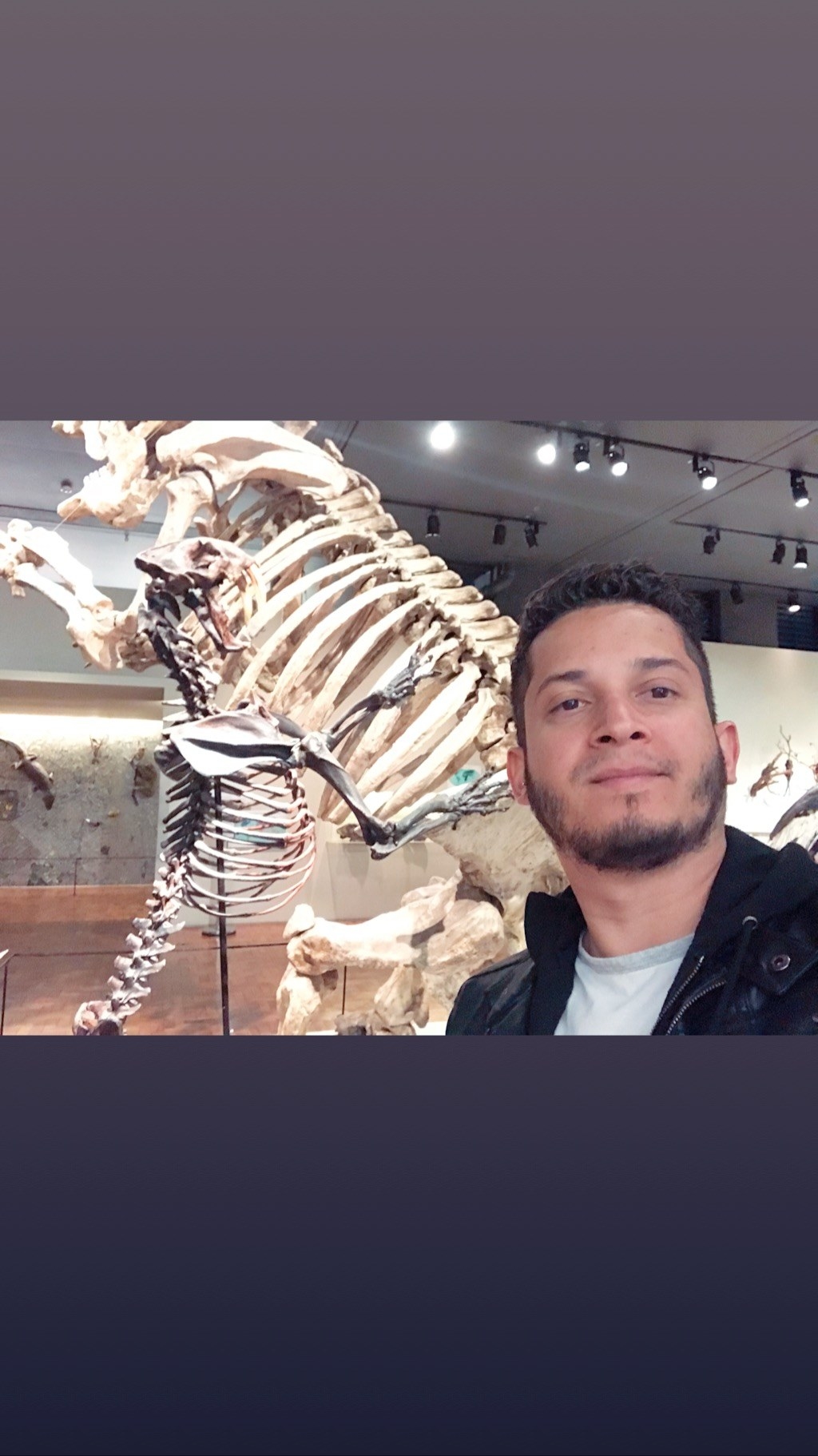 Ele possui um acervo com mais de 10 milhões de itens preservados, um dos maiores de América Latina. Além disso, guarda documentos que possuem informações únicas sobre algumas espécies e ecossistemas que hoje já nem existem mais.“Esse patrimônio é fonte de dados importantes em biologia evolutiva, paleontologia, ecologia, e biologia molecular. Por sua vez, essa informação é utilizada em estudos de monitoramento ambiental, mudanças climáticas e bioprospecção, temas de grande relevância no momento atual.” (http://www.mz.usp.br)Museu de ZoologiaAv. Nazaré, 481 IpirangaEntrada: GratuitaHorário de Funcionamento: Quartas a domingos (inclusive feriados), das 10h às 17h (entrada permitida até as 16h30)