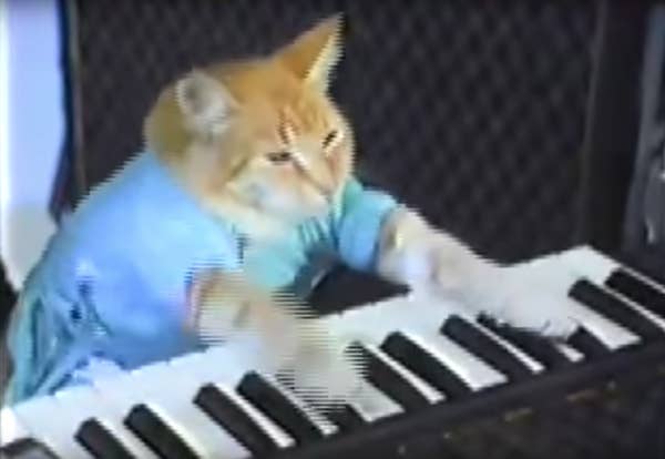 31 Viral Videos You Used To Watch When Your Parents Didn T Know