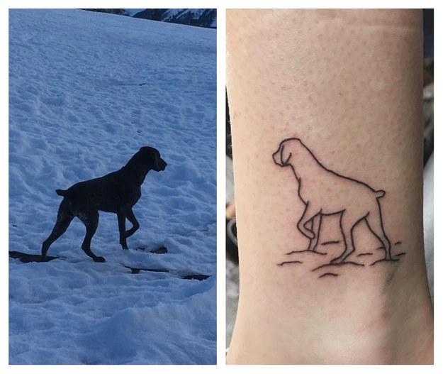 10 Best German Shorthaired Pointer Tattoo Designs  Dog tattoos German  shorthaired pointer dog Tiger tattoo design