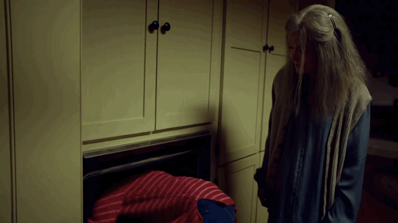 "In The Visit, M. Night Shyamalan has gone back to basics, with a stripped-down story and scale, a largely unknown (excellent) cast and a classically tinged tale of child peril." -Manohla Dargis for The NYTimes