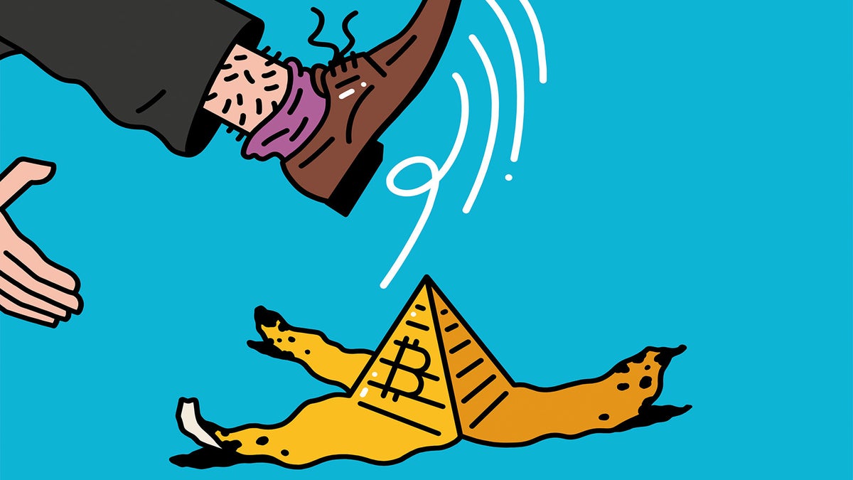 How A Hapless Bitcoin Entrepreneur Got Swept Up In The Crypto Craze And  Started A Multimillion-Dollar Ponzi Scheme