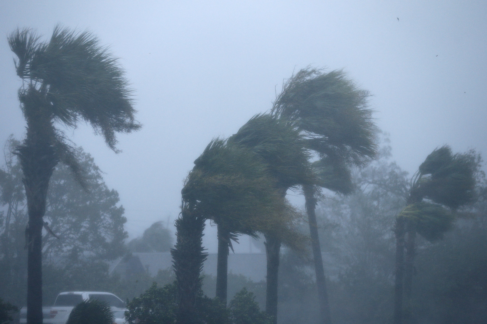 Updates: At Least 26 People Have Died As A Result Of Hurricane Michael