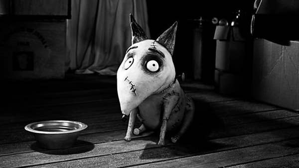 Frankenweenie