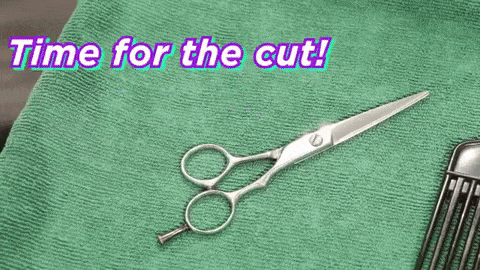 Check out more from As/Is for how BuzzFeeders found *the* treatment for their curls. Don't know where to find your new hairdresser? DevaCurl helps you locate a specialist based on your zipcode.