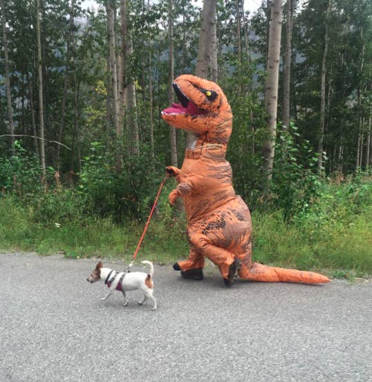 man riding dinosaur costume