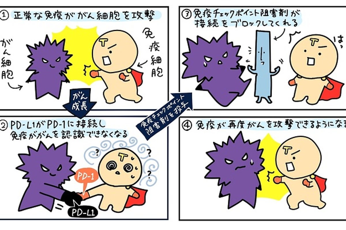 ノーベル賞受賞の免疫療法はどんな治療か その効果 副作用のメカニズム