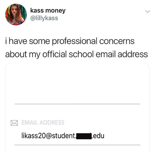 Person&#x27;s official school email address is likass20@student---edu