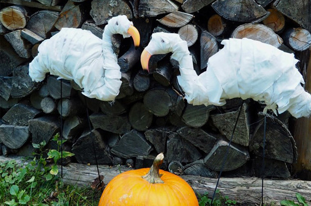 13 Minimalist Halloween Decor Ideas That Are Just The Right Amount Of Spooky