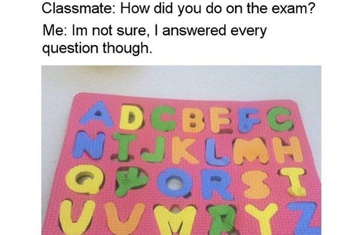 31 Memes That Ll Make All Year 12 Students Laugh Then Cry