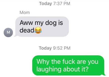 old person using the laughing crying emoji instead of a crying emoji when talking about a dead dog