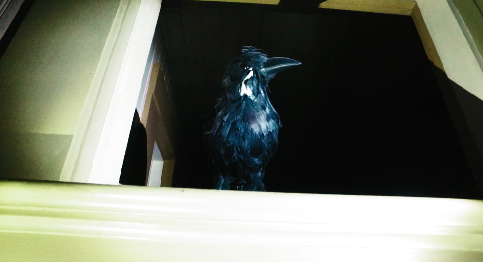 These Guys Spent The Night In The Winchester Mystery House And Lived To