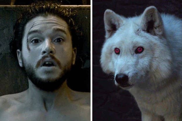 Seriously Where Is Ghost On Game Of Thrones
