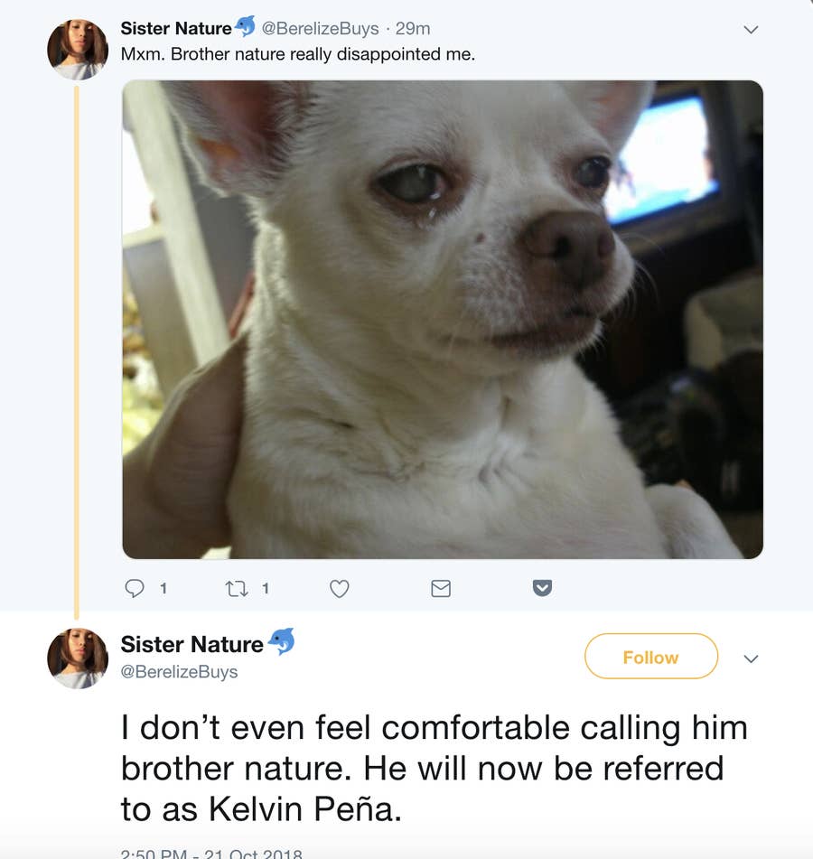 許せる 許せない ネットセレブが有名になる前に投稿した人種差別ツイート