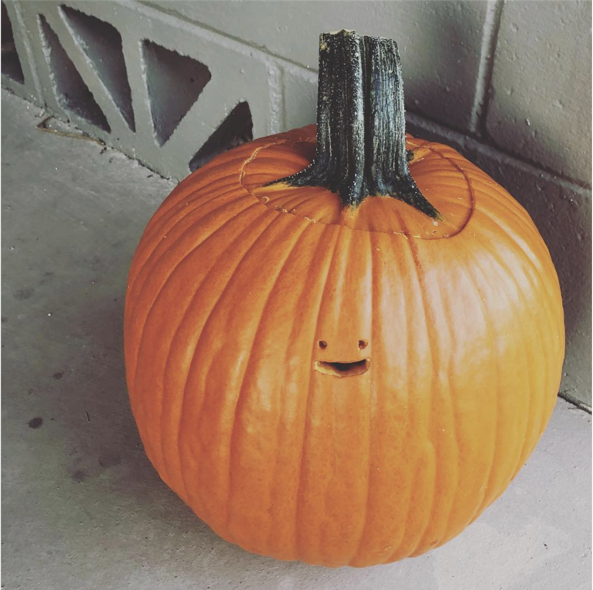 15 Pumpkins That Were Clearly Carved By Hilariously Weird People 15 Pumpkins That Were Clearly Carved By Hilariously Weird People