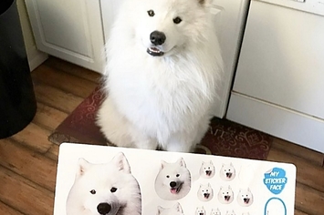 personalised dog merchandise