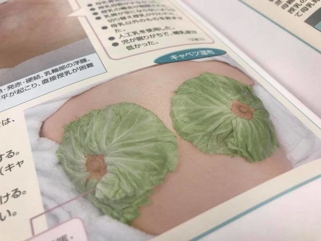 キャベツ湿布 不妊症に効く ハーブティ おっぱい体操 助産師から勧められた