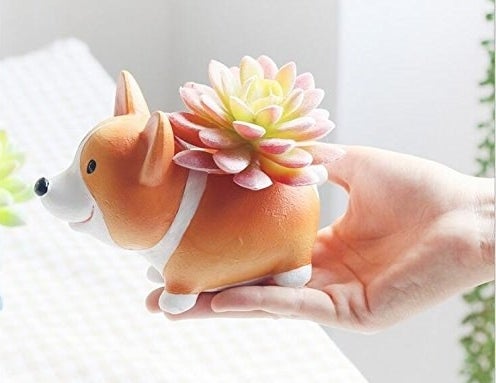 A hand holding the corgi-shaped vase with a succulent in it