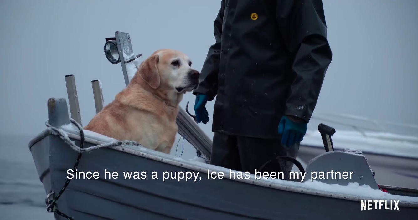 Netflix store dogs ice