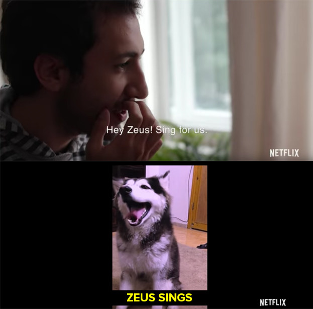 Netflix best sale dogs zeus