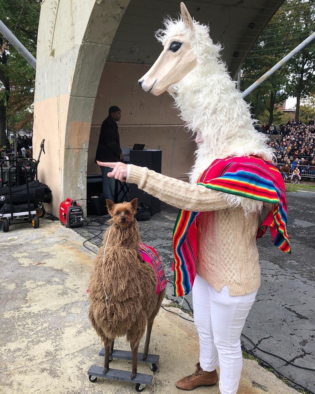 Dog dressed as llama sale