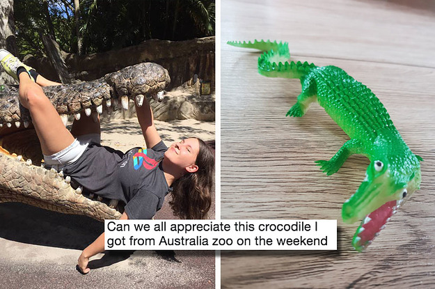 People Are Losing It Over This Very Special Toy Crocodile A Woman Bought At The Zoo