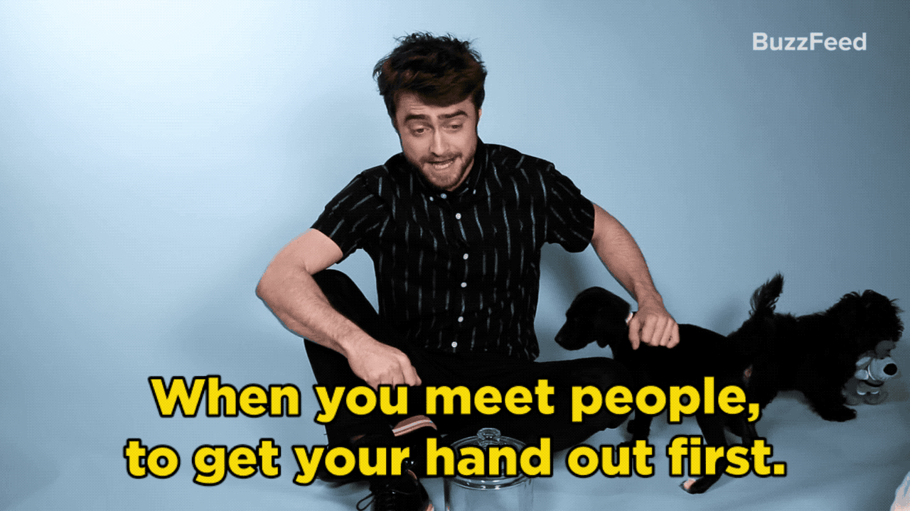 Daniel Radcliffe Revealed Which 