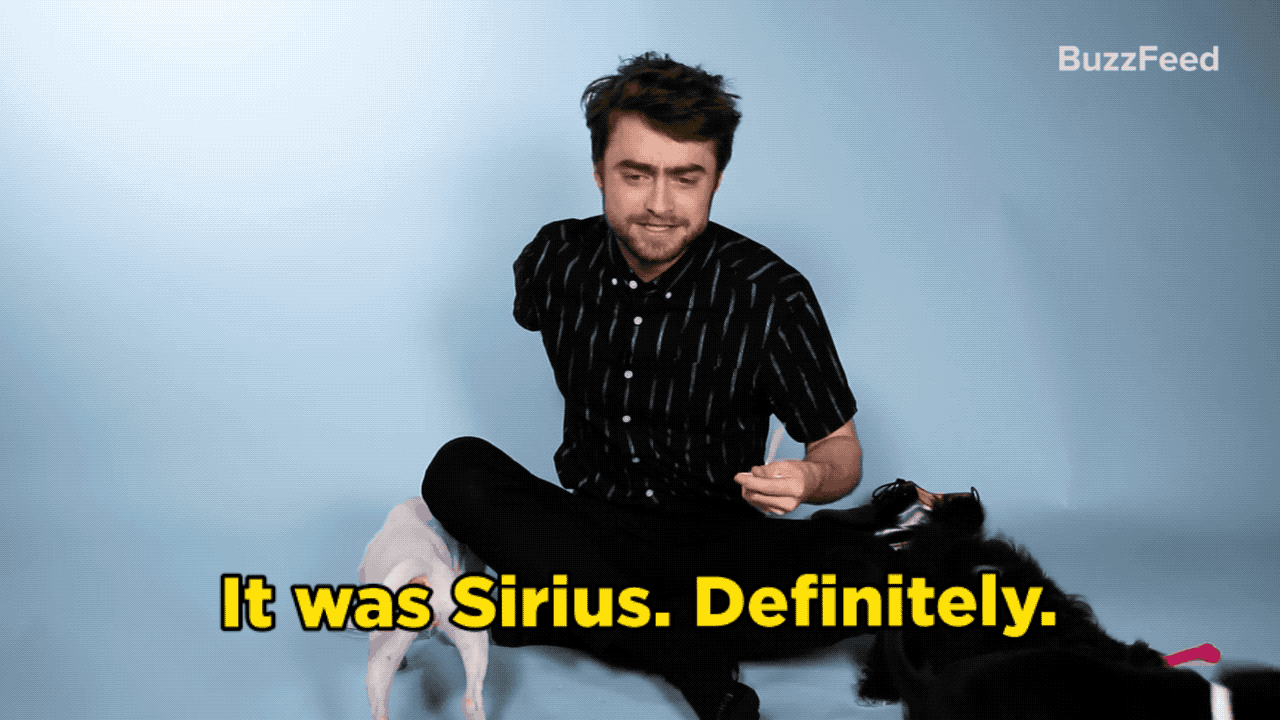 Daniel: It was Sirius. Definitely. Also because it meant at the time I didn't know if I would be working with Gary Oldman again and that was very sad. I adored Gary and working with him was an incredibly formative experience in my life. And the character's death just comes so out of the blue as well. That was a real shocker.
