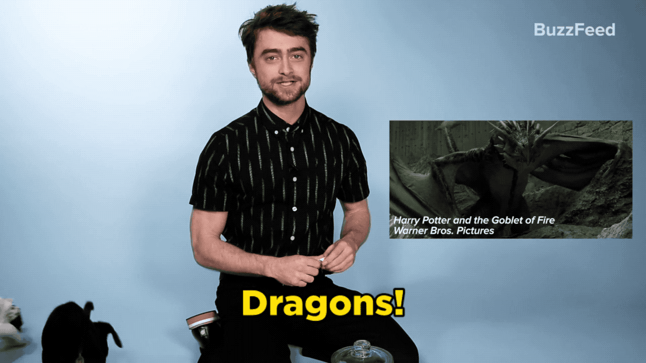 Daniel: Dragons! I'd want to answer fan questions while I play with dragons. That's a very rude question to ask in front of the puppies, please.