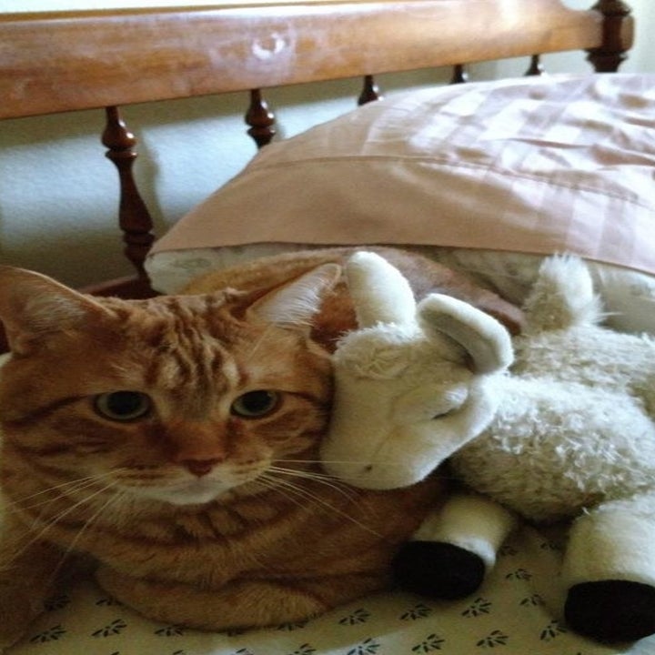 best stuffed animals on amazon