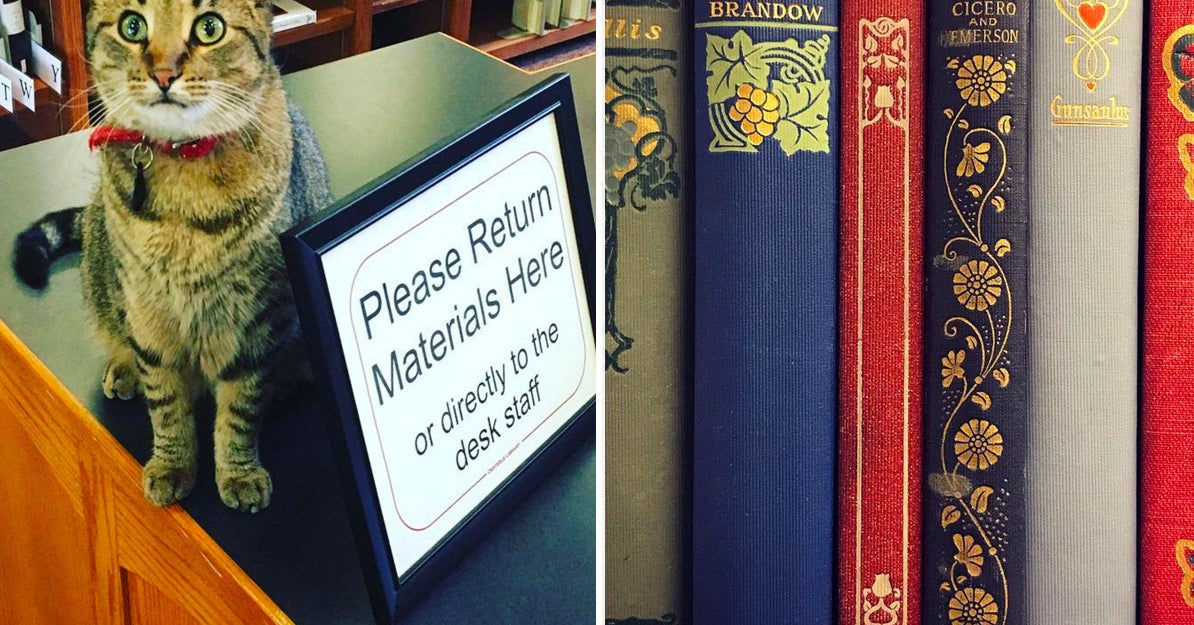 13 Libraries Book Lovers Need To Follow On Instagram