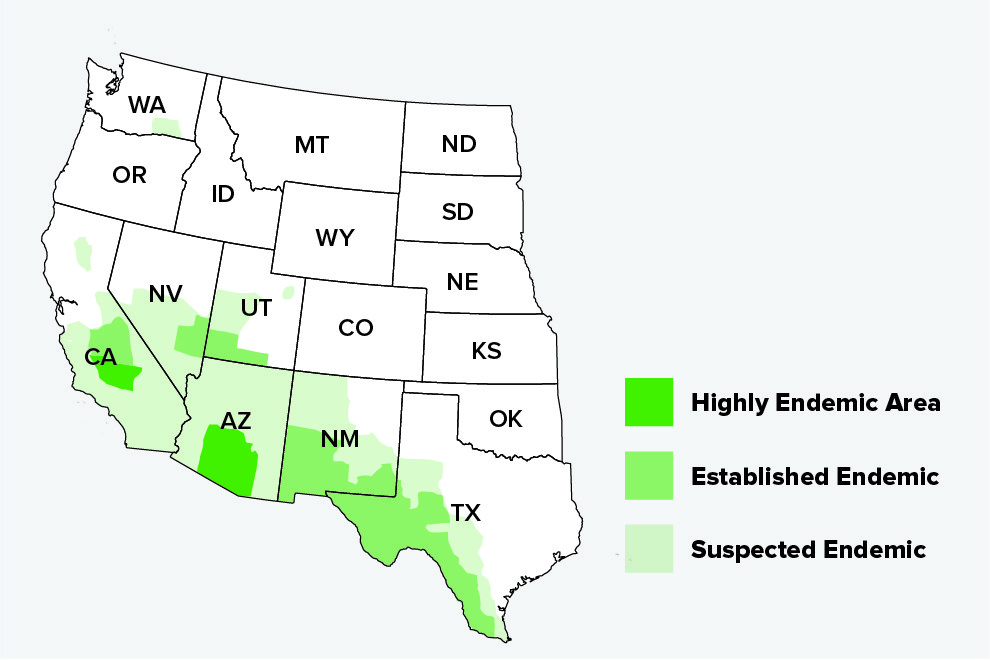 An Incurable Disease Is On The Rise In California, And Scientists Say