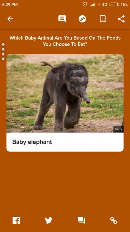 Which Baby Animal Are You Based On The Foods You Choose To Eat? Which Baby Animal Are You Based On The Foods You Choose To Eat?